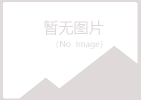 宁夏山柳工程有限公司